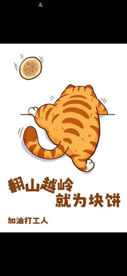丑小鸭🍑愿有一束光主播照片