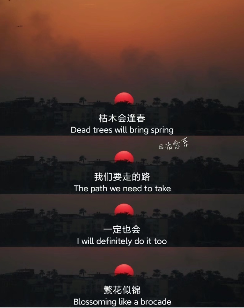 洋子～的图片