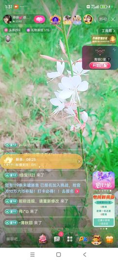 婷婷💕感恩有你陪伴主播照片