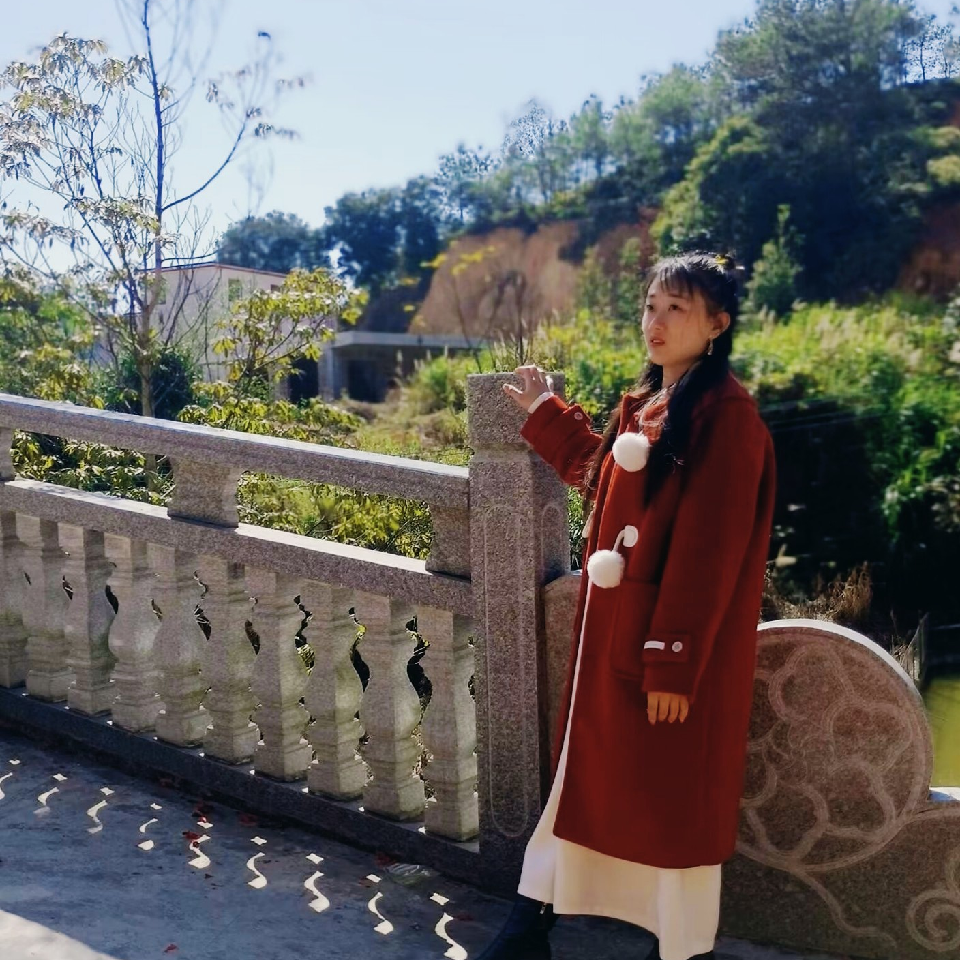 落雪黎殇海报