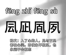 嘉瀚苏静好休息的图片