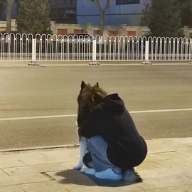 娜扎🧸主播照片