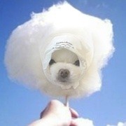急娃娃海报