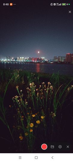 婷婷💕求过月底任务主播照片