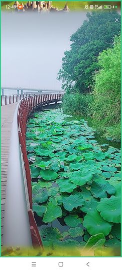 婷婷💕求过月底任务主播照片