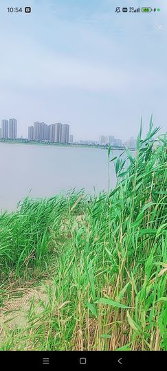 婷婷💕感恩有你陪伴的图片