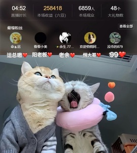 洋子～晚点见主播照片