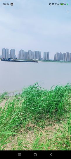 婷婷💕求过月底任务主播照片