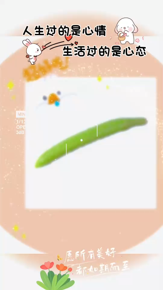 人生在世三万天，有荤