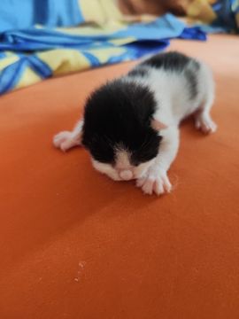 婷婷💕求过月底任务主播照片