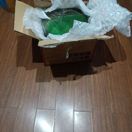 龙菲菲的为你郡王了主播照片