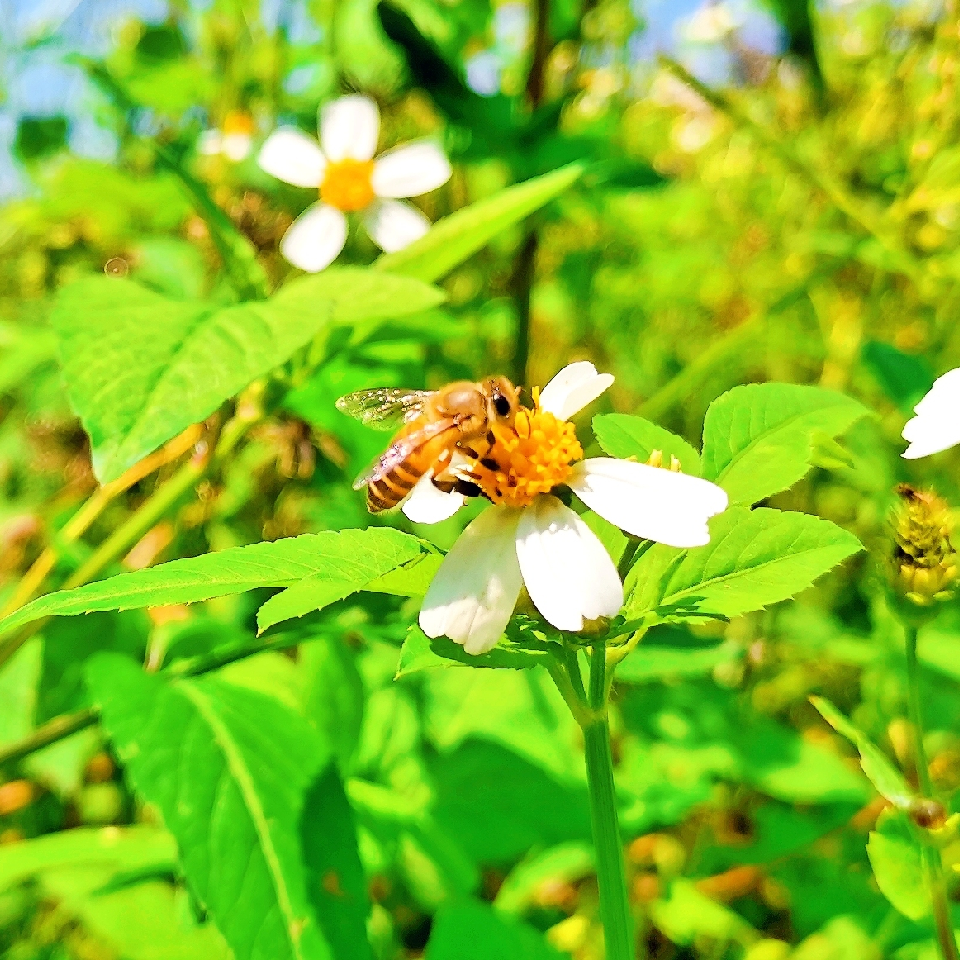 中小发海报