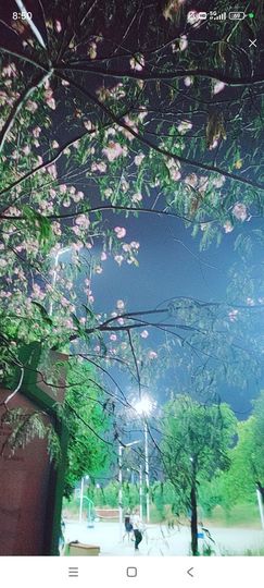婷婷💕感恩有你陪伴主播照片