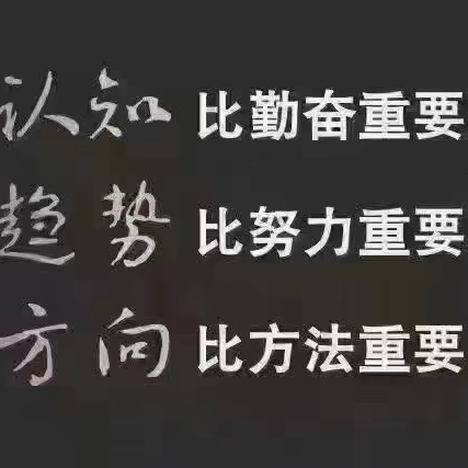 陈公子xw海报