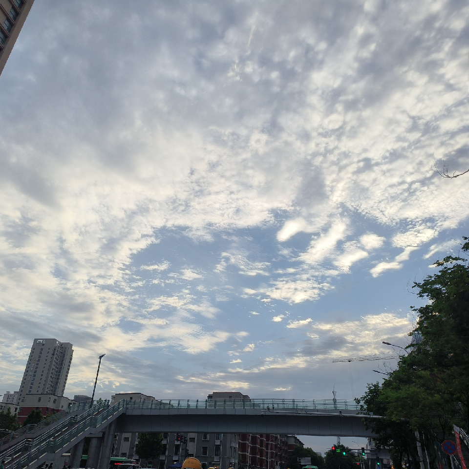 💕茜茜海报