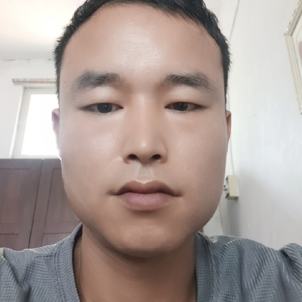 赵哥哥557海报