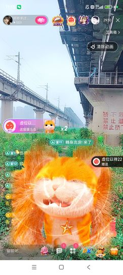 婷婷💕感恩有你陪伴主播照片