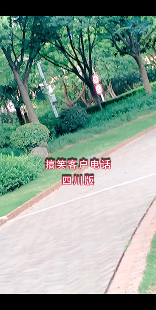 你要几个鸡啊/大笑/