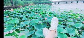婷婷💕感恩有你陪伴主播照片