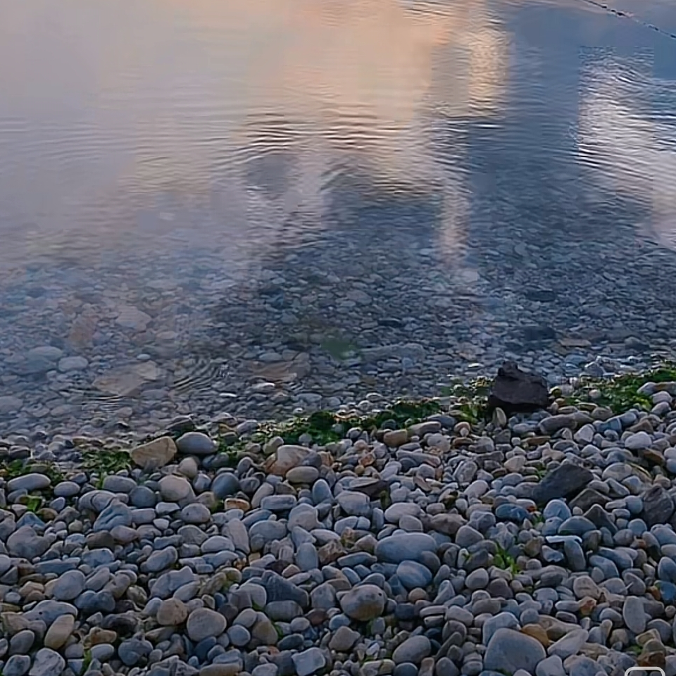 初心，💖海报