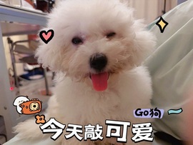 清雅休主播照片