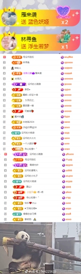 陈慧慧🥕早9晚8主播照片