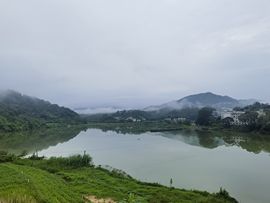 KK十一的图片