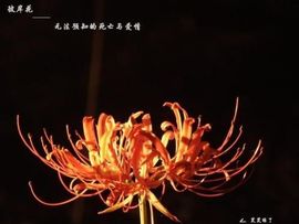 君为红颜醉红颜❤️的图片