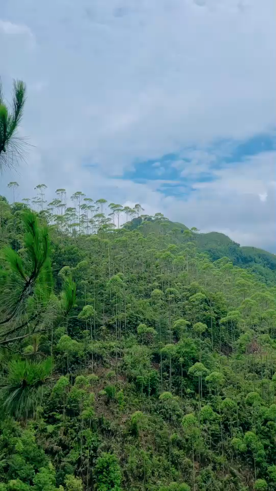 G219国道沿途风景