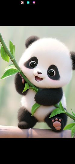 丑小鸭💞愿有一束光主播照片