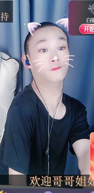 轮椅猪猪求温饱的图片