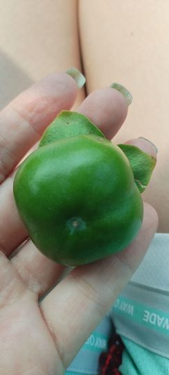漫曼依然主播照片
