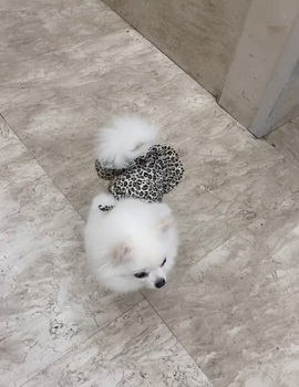 洋子～晚点见主播照片