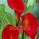 奋发拼搏展望未来