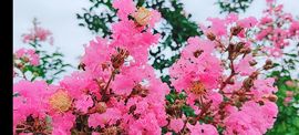 婷婷💕感恩有你陪伴主播照片