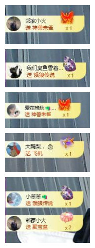 🎼关关🎼的图片