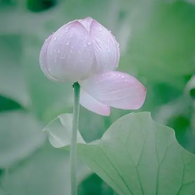 🍉秋意浓🍇海报