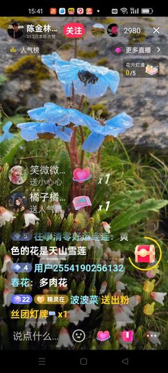无聊听歌🍀蛇年好运主播照片