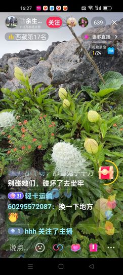 无聊听歌🍀蛇年好运主播照片