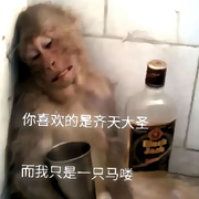 一只马咯