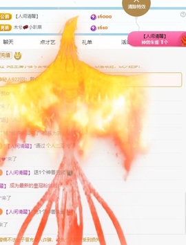钱多多熊猫主播照片