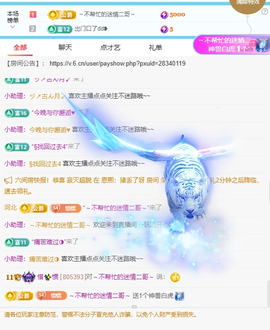 惯宝✨加油主播照片