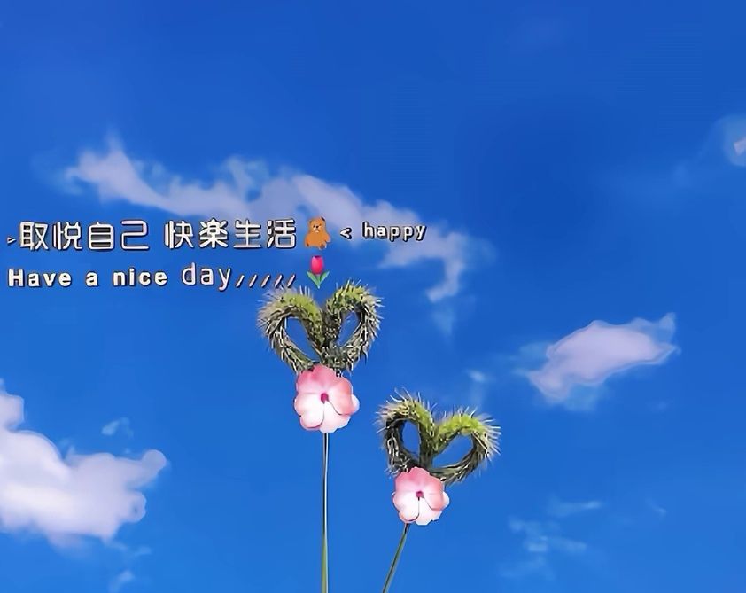忧闷的鸟哥的图片