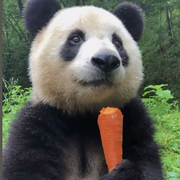 溪风落雨头像