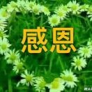 恩典x5海报
