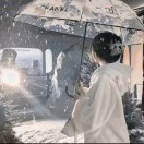 烂玫瑰1