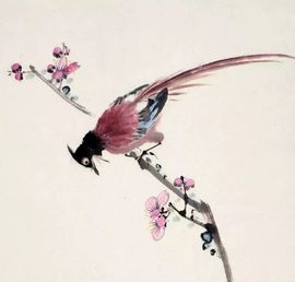 翻新♥宝宝的图片