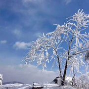 素雪家秋葉🍂🍂