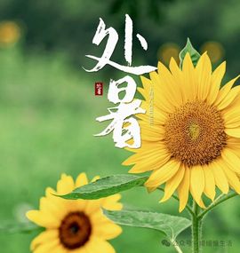 September★主播照片