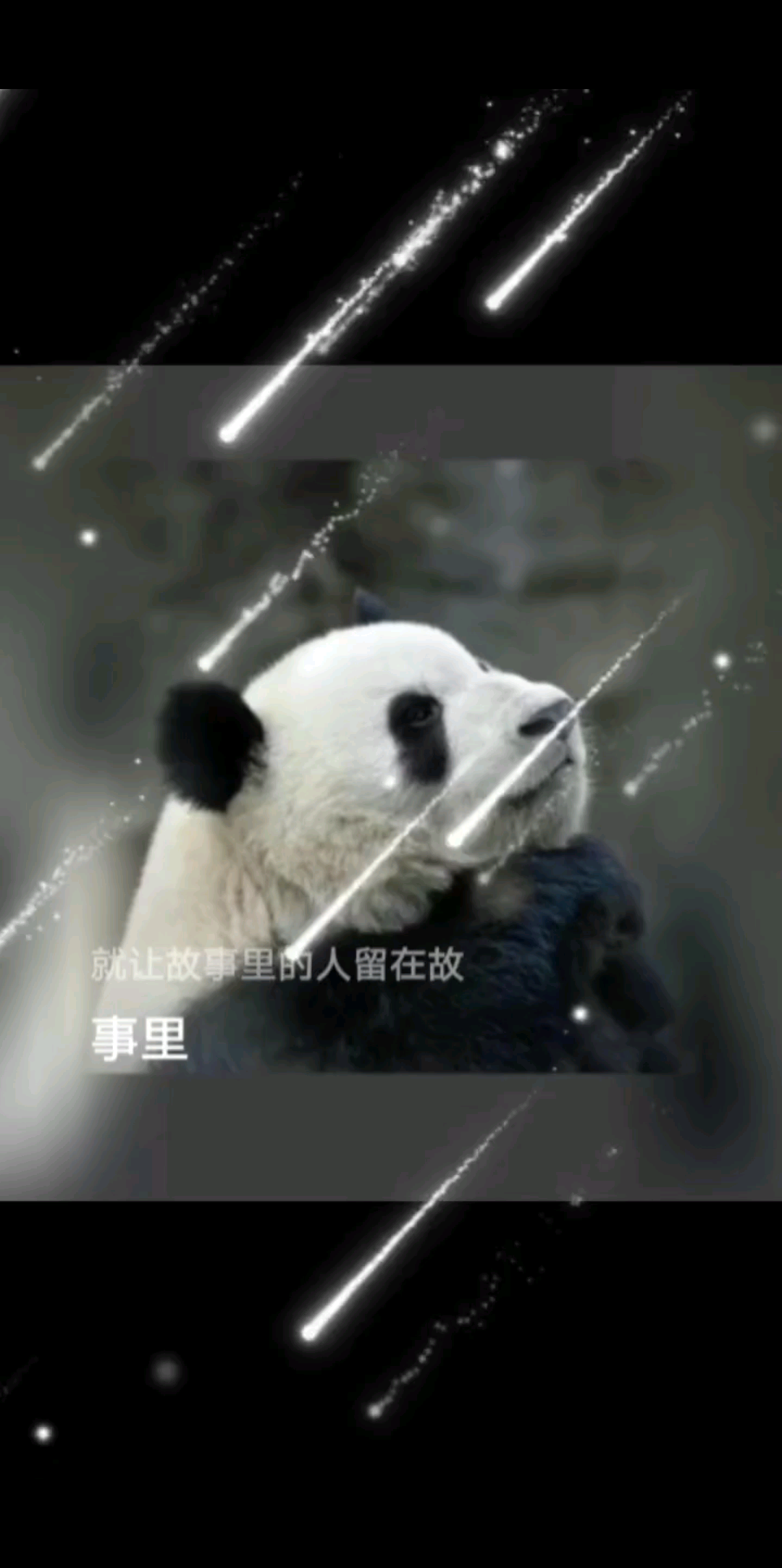 哈哈哈